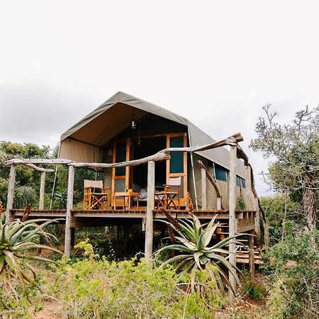 Woodbury Tented Camp - Amakhala Game Reserve ภายนอก รูปภาพ