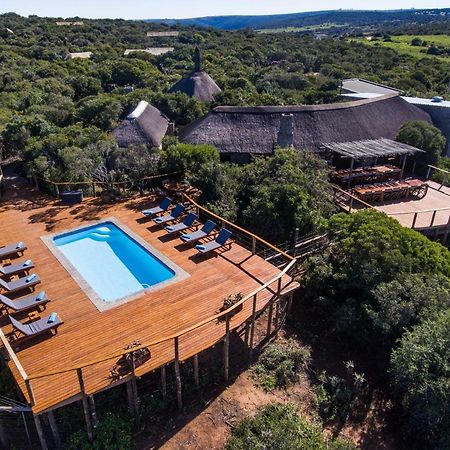 Woodbury Tented Camp - Amakhala Game Reserve ภายนอก รูปภาพ