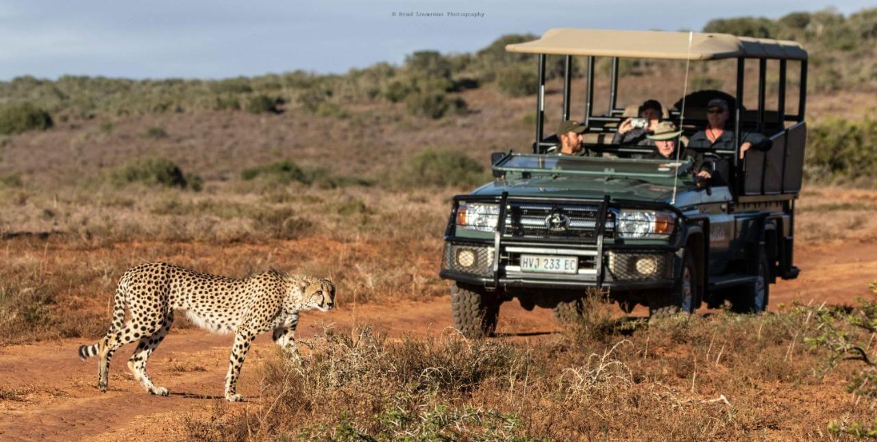 Woodbury Tented Camp - Amakhala Game Reserve ภายนอก รูปภาพ