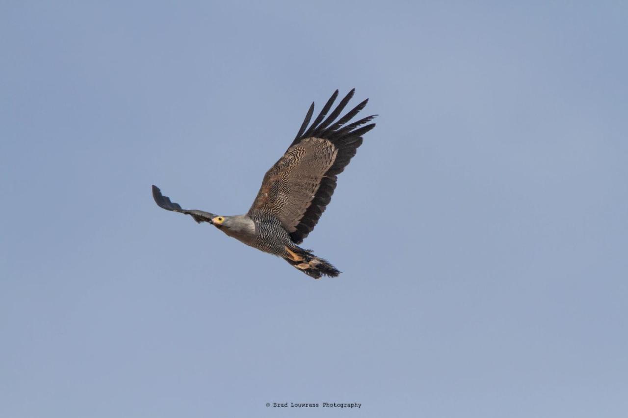 Woodbury Tented Camp - Amakhala Game Reserve ภายนอก รูปภาพ
