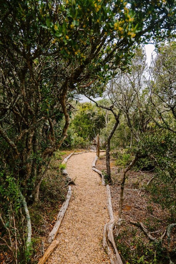 Woodbury Tented Camp - Amakhala Game Reserve ภายนอก รูปภาพ
