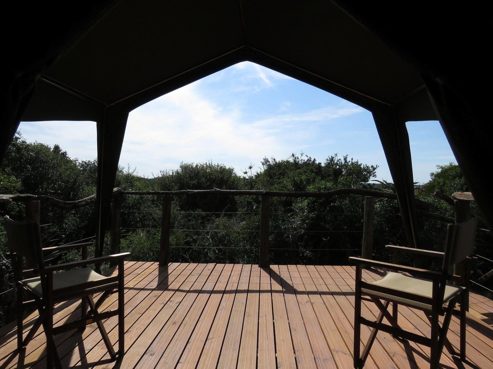 Woodbury Tented Camp - Amakhala Game Reserve ภายนอก รูปภาพ