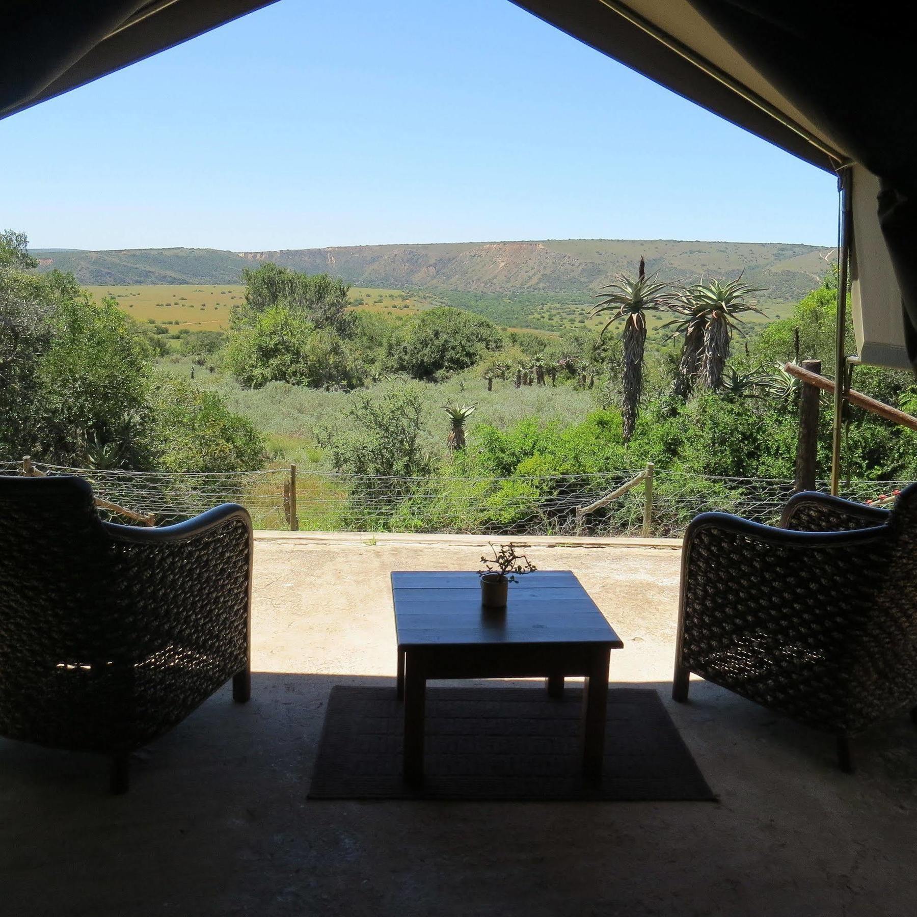 Woodbury Tented Camp - Amakhala Game Reserve ภายนอก รูปภาพ
