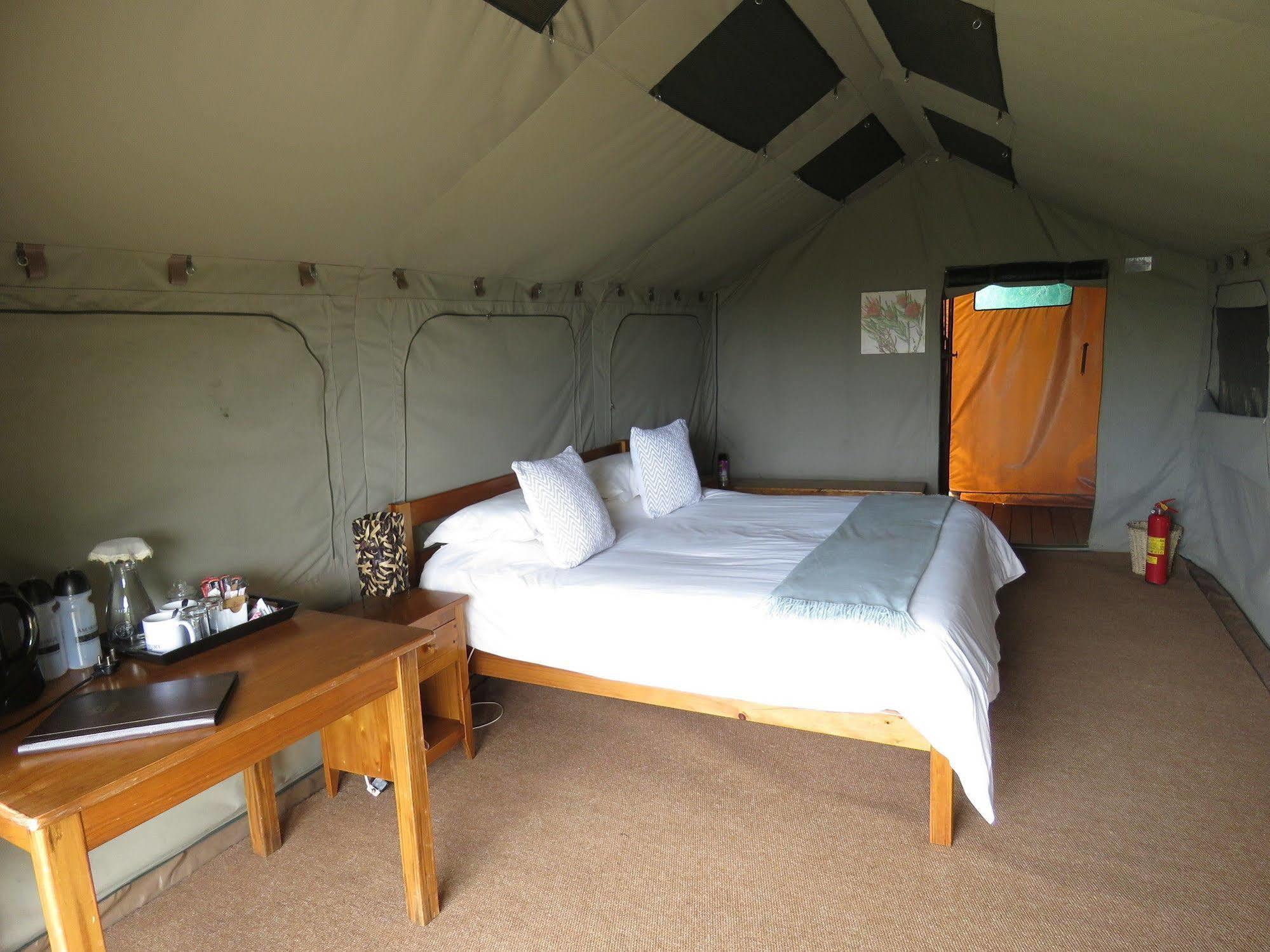 Woodbury Tented Camp - Amakhala Game Reserve ภายนอก รูปภาพ