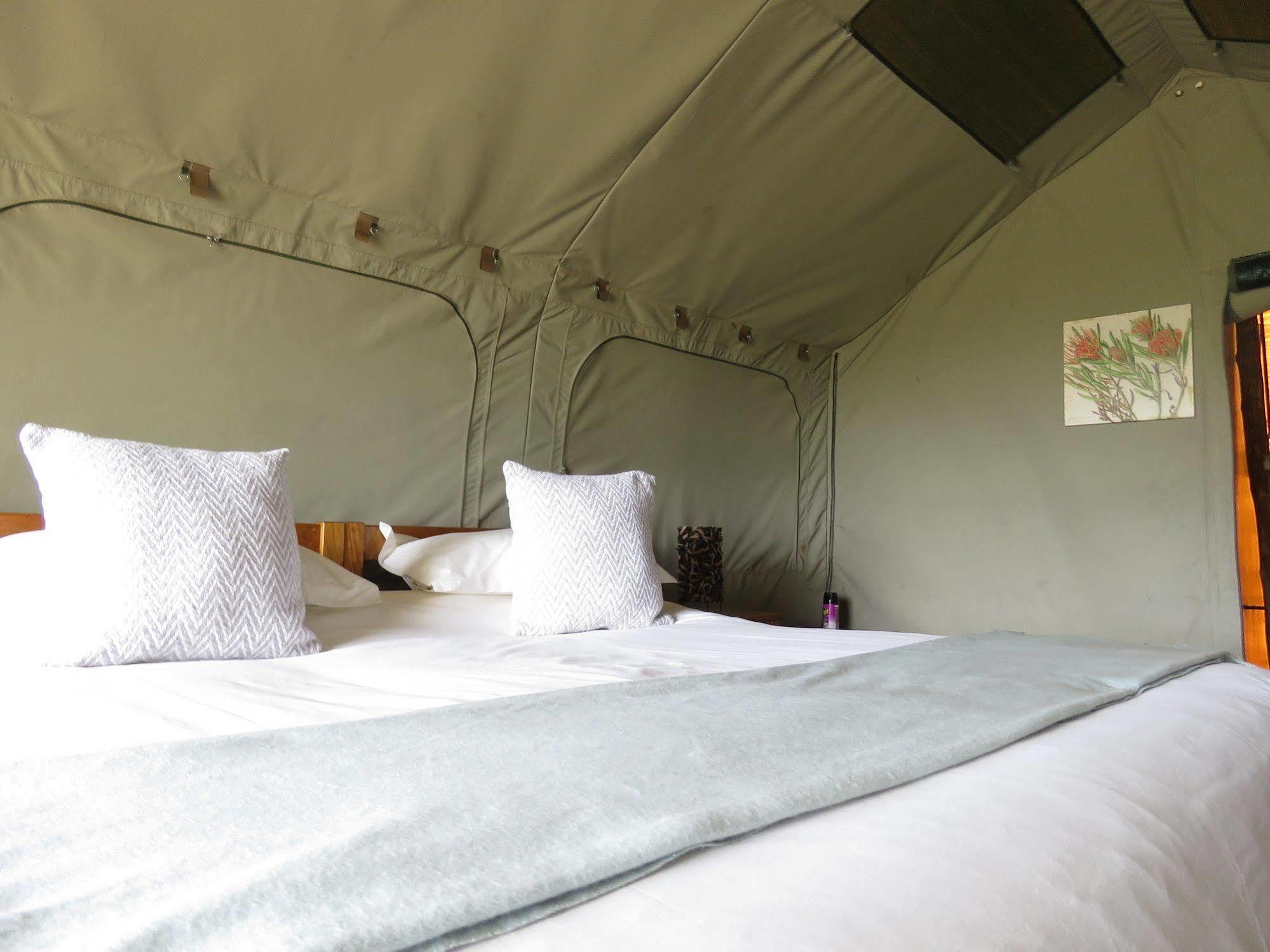 Woodbury Tented Camp - Amakhala Game Reserve ภายนอก รูปภาพ