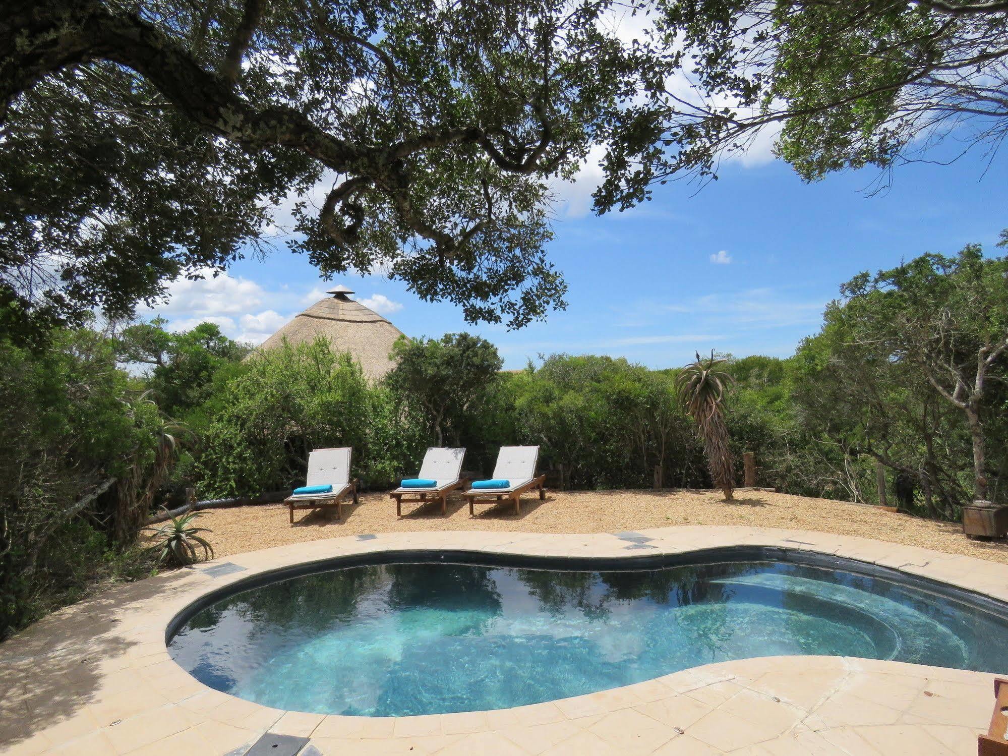 Woodbury Tented Camp - Amakhala Game Reserve ภายนอก รูปภาพ