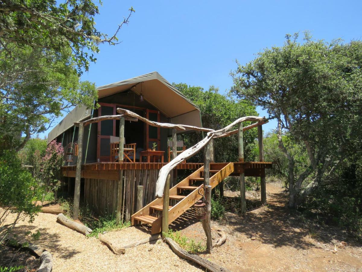 Woodbury Tented Camp - Amakhala Game Reserve ภายนอก รูปภาพ