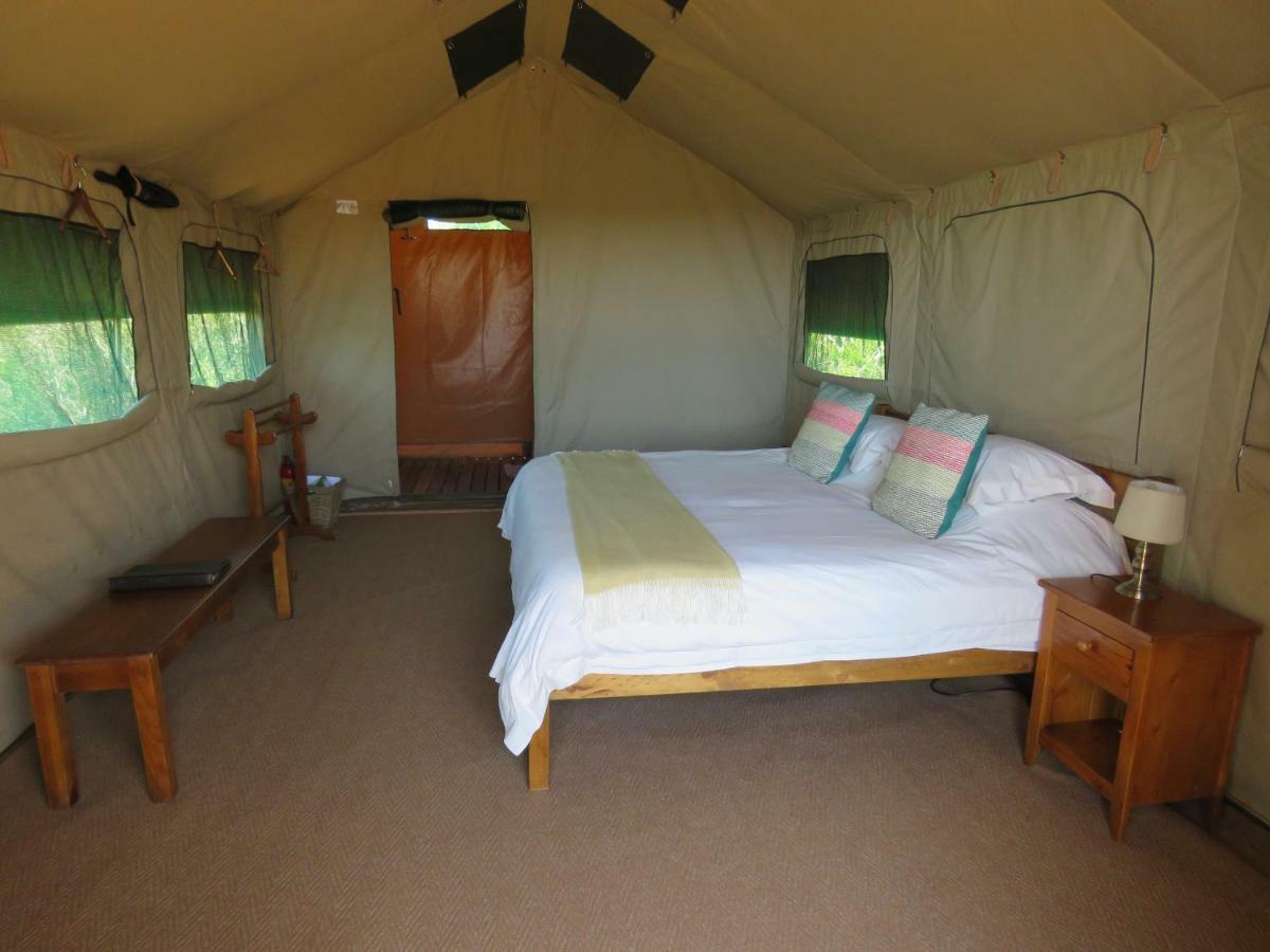 Woodbury Tented Camp - Amakhala Game Reserve ภายนอก รูปภาพ